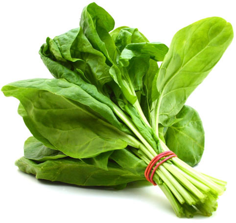 Spanać