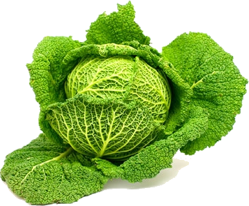 Kelj