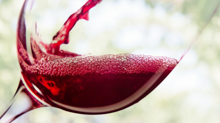 Merlot Živković, 0,75l