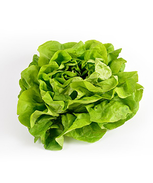 Zelena salata