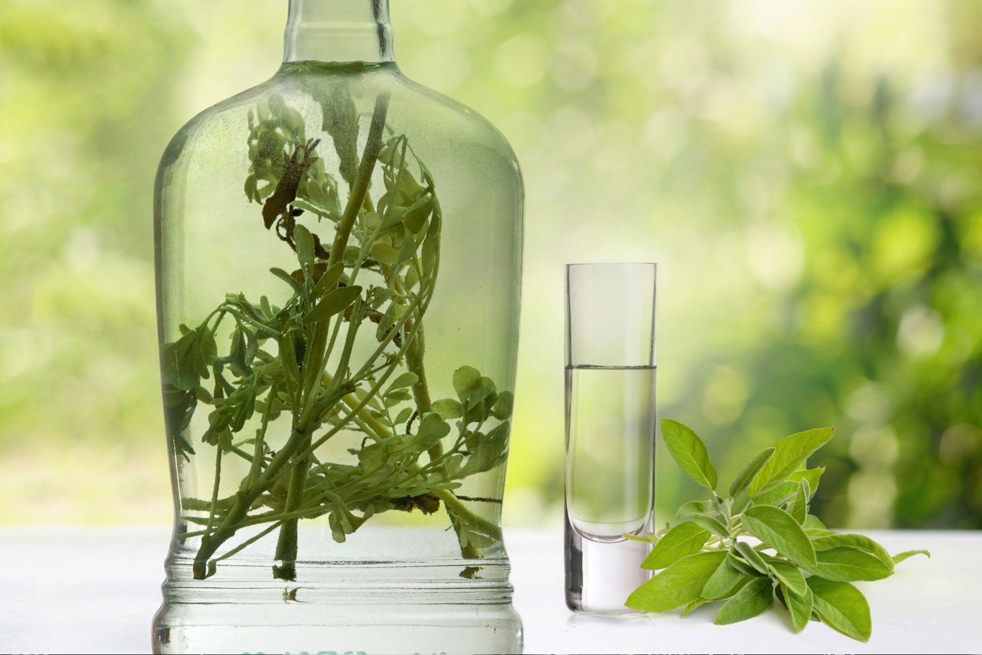 Rakija Ambelos Travarica