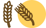 Žitarice